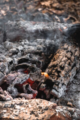 A small flame is barely visible in the dying fire. Light a fire in the woods. Smoldering wood in the fire, hot coals and a lot of smoke.
