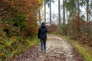 Fototapeta premium Herbst im Oberen Donautal bei Beuron