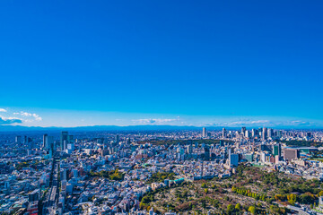 東京の街並み・新宿、渋谷の高層ビル群