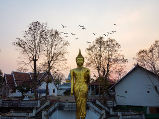 Nan / Thailand -February 2020 : Wat Phra That Khao Noi temple in Northern Thailand with a large golden standing Buddha statue over looking the city from the mountain top in sunset