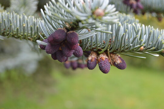 Tai kas gydo sielą, dovanoja meilę ir ramybę, &scaron;ildo žvarbią dieną ir prikelia gyvenimui.