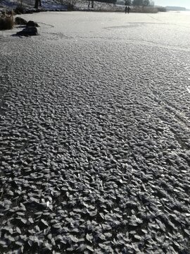 Tai kas gydo sielą, dovanoja meilę ir ramybę, &scaron;ildo žvarbią dieną ir prikelia gyvenimui.