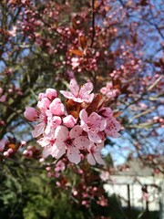 Tai kas gydo sielą, dovanoja meilę ir ramybę, šildo žvarbią dieną ir prikelia gyvenimui.