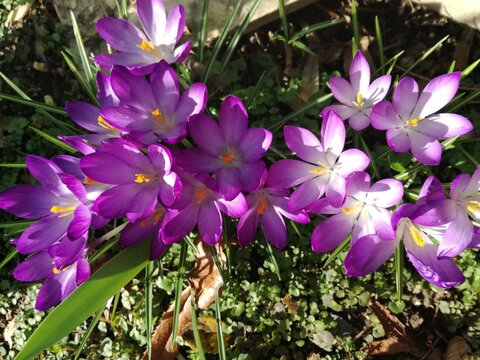 Tai kas gydo sielą, dovanoja meilę ir ramybę, &scaron;ildo žvarbią dieną ir prikelia gyvenimui.