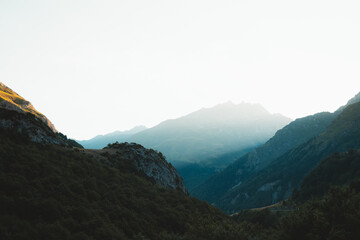 Cute little horse standing on a pasture in French Pyrenees
