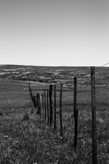 old fence in the fields