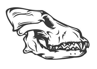 Wolf or dog skull in hand drawn monochrome style isolated on white background. Vintage cartoon vector illustration. Design element for tattoo, print, cover.