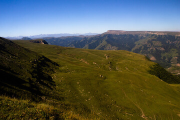 Beautiful alpine meadow on a sunny day with a gorge. Blue sky