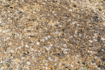 Texture of old stone covered with moss and stains