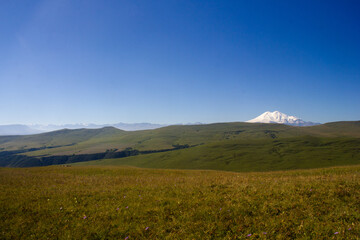 Beautiful alpine meadows on a sunny day with a view of the snowy mountain Elbrus
