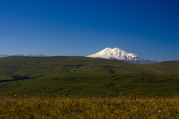 Beautiful alpine meadows on a sunny day with a view of the snowy mountain Elbrus