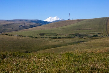 Beautiful alpine meadows on a sunny day with a view of the snowy mountain Elbrus