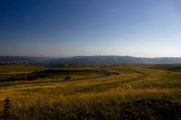 Alpine meadows where horses graze. Mountains on the horizon. The road passes through the meadows