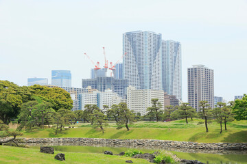 Obraz premium 浜離宮庭園と勝どきのタワーマンション