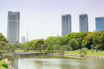 浜離宮庭園と汐留タワーマンション