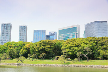 浜離宮庭園と汐留シオサイト