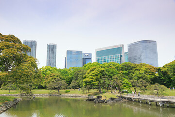 Fototapeta premium 浜離宮庭園 海手お伝い橋と汐留シオサイト