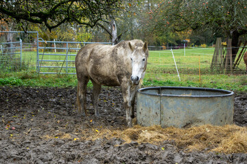 Herbst im Oberen Donautal bei Beuron