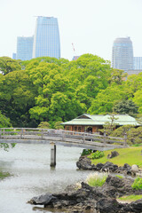 浜離宮庭園と汐留タワーマンション