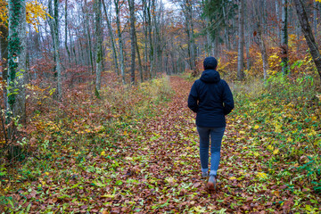 Fototapeta premium Herbst im Oberen Donautal bei Beuron
