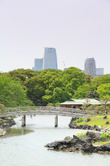 Fototapeta premium 浜離宮庭園と汐留タワーマンション