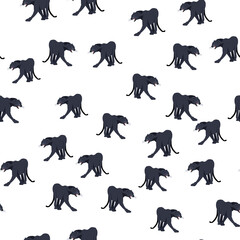 seamless pattern Black Jaguar Puma Lion Panther. Vector illustration. Animal
