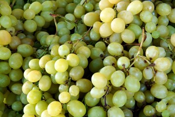 clusters of white grapes fruits close out