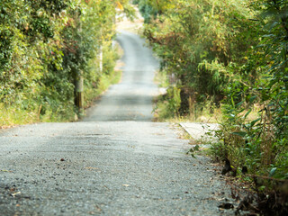 Fototapeta premium 田舎道