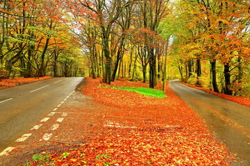 A color image of  the rain soaked countryside in the Cotswolds of England.
