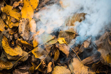 Burning. Autumn bonfire with smoke. Yellow leaves in the smoke.