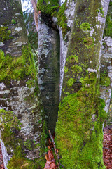 Herbst im Oberen Donautal bei Beuron