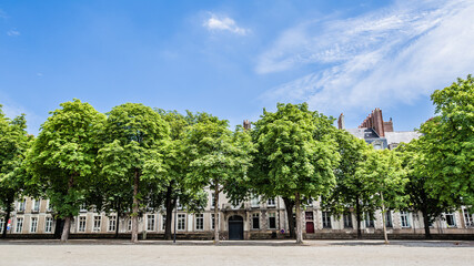 Naklejka premium nantes 23
