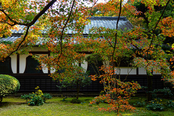 a row house in the Japanese garden 