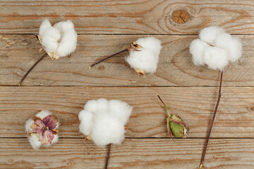 cotton balls on wood