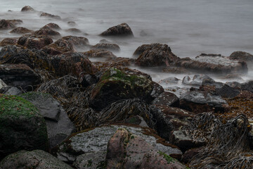 Long exposure of a rocky shore with sea wrack