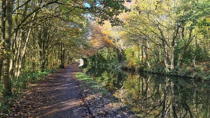 Canal in Autumn