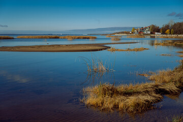 overgrown beach of finland gulf