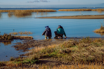 Back view of boys watering hands in cold sea in autumn. Overgrown water of finland gulf in Russia