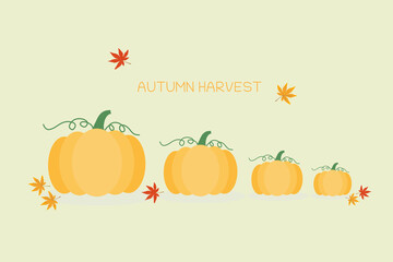 Vector set of orange pumpkins isolated on a yellow background. Thanksgiving pictogram collection farm harvest, vegetable. Halloween.
