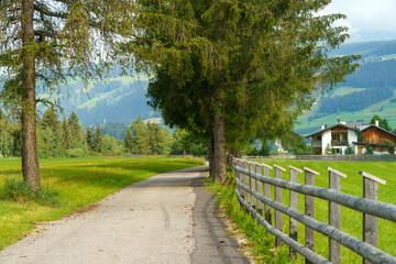 Cycleway of Pusteria valley at summer