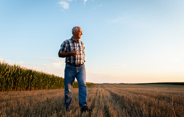 Portrait of senior farmer walking in field with bales of hay at sunset.