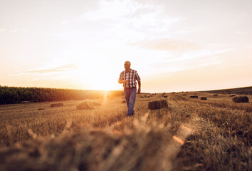 Portrait of senior farmer walking in field with bales of hay at sunset.
