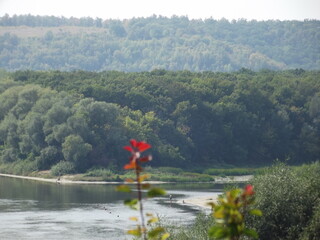 река Дон