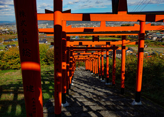repetitive shinto shrines on the hill