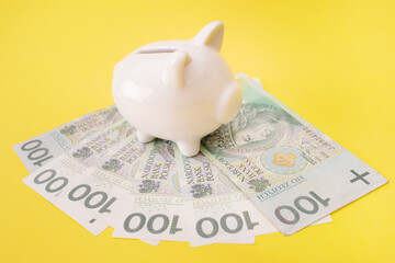 Przychód - finanse - tarcza antykryzysowa - polskie pieniądze i świnka skarbonka © Karolina Chaberek