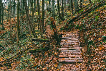 Wooden staircase in the autumn forest with a small river. Beautiful autumn landscape in the forest