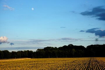 Lune sur champ