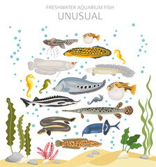 Unusual fish. Freshwater aquarium fish icon set flat style isolated on white