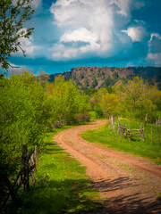 Fototapeta premium road in the mountains