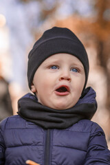 Portrait of a little boy in warm clothes. Baby in a hat close up on a blurred autumn background
